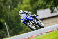 PJ-Motorsport-2019;anglesey;brands-hatch;cadwell-park;croft;donington-park;enduro-digital-images;event-digital-images;eventdigitalimages;mallory;no-limits;oulton-park;peter-wileman-photography;racing-digital-images;silverstone;snetterton;trackday-digital-images;trackday-photos;vmcc-banbury-run;welsh-2-day-enduro